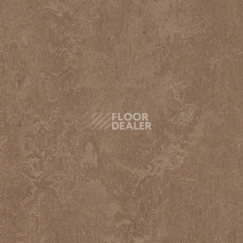 Линолеум Forbo Marmoleum Marbled Fresco 3254-325435 clay фото 1 | FLOORDEALER